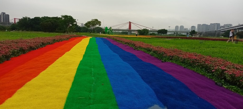 1130523新北河濱蝶戀季~板橋蝴蝶公園。