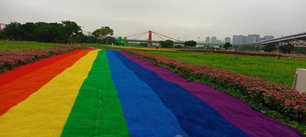 1130523新北河濱蝶戀季~板橋蝴蝶公園。