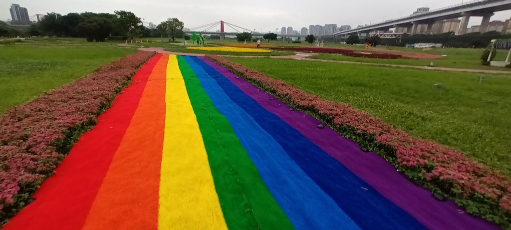 1130523新北河濱蝶戀季~板橋蝴蝶公園。