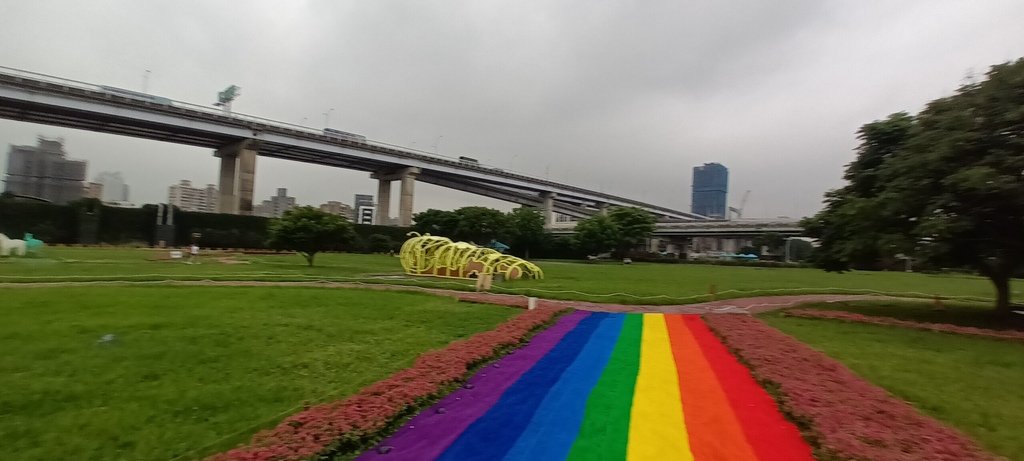 1130523新北河濱蝶戀季~板橋蝴蝶公園。