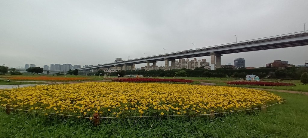 1130523新北河濱蝶戀季~板橋蝴蝶公園。