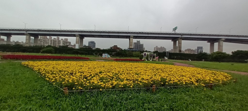 1130523新北河濱蝶戀季~板橋蝴蝶公園。