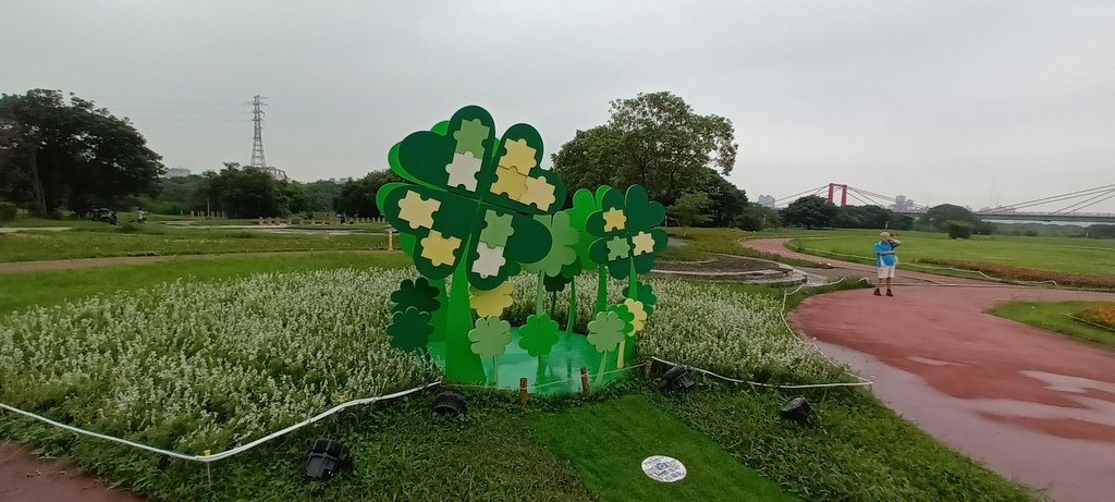 1130523新北河濱蝶戀季~板橋蝴蝶公園。