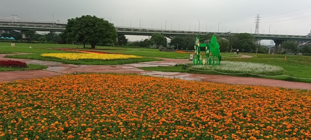 1130523新北河濱蝶戀季~板橋蝴蝶公園。