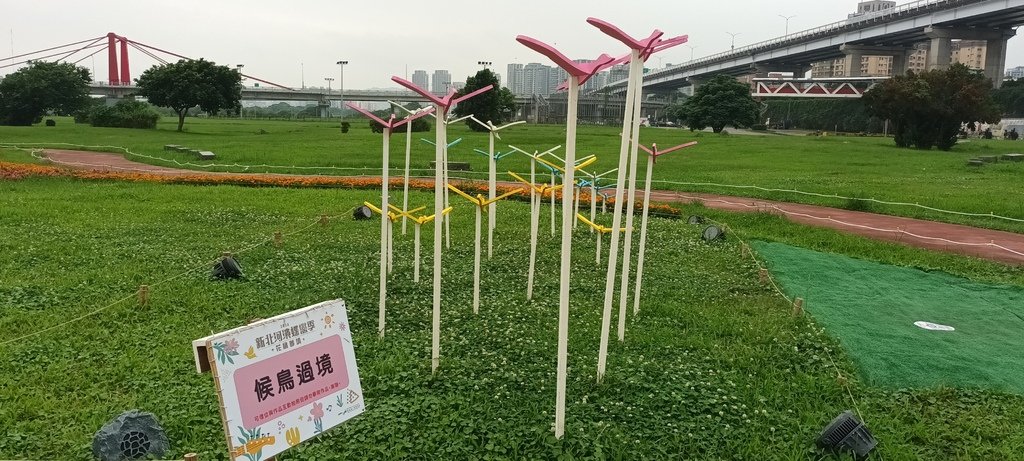 1130523新北河濱蝶戀季~板橋蝴蝶公園。