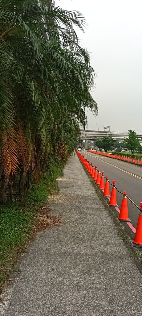 1130523新北河濱蝶戀季~板橋蝴蝶公園。