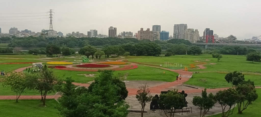 1130523新北河濱蝶戀季~板橋蝴蝶公園。