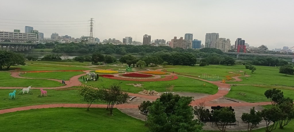 1130523新北河濱蝶戀季~板橋蝴蝶公園。