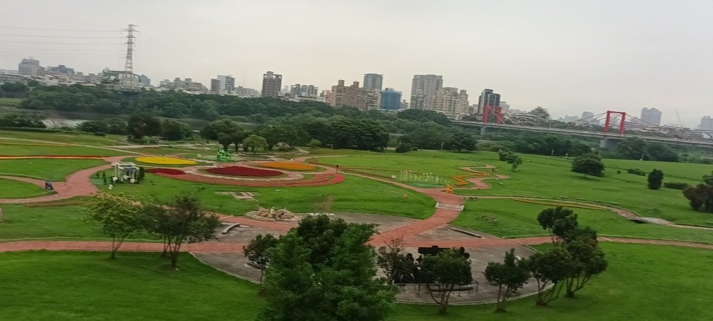 1130523新北河濱蝶戀季~板橋蝴蝶公園。