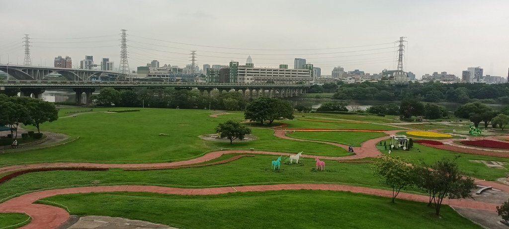 1130523新北河濱蝶戀季~板橋蝴蝶公園。