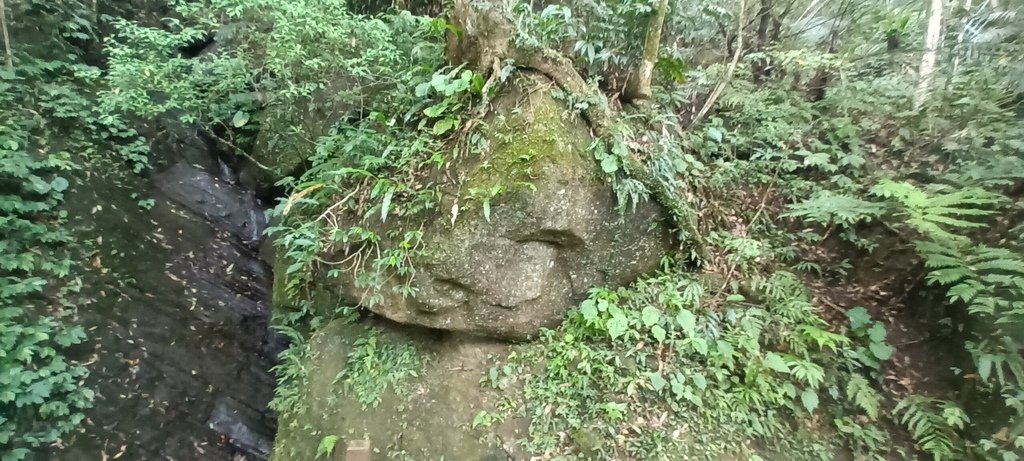 1130615馬武督探索森林(綠光森林及小學)、關西仙草博物