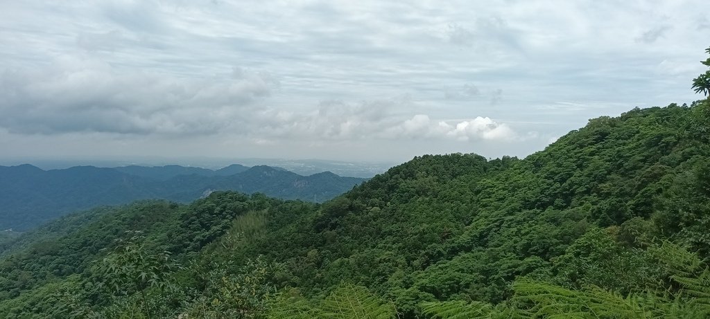 1130615馬武督探索森林(綠光森林及小學)、關西仙草博物