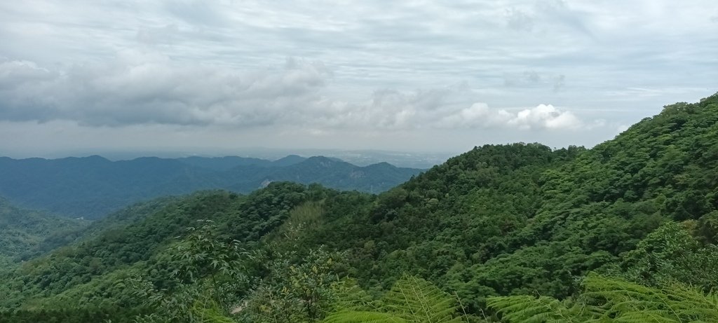 1130615馬武督探索森林(綠光森林及小學)、關西仙草博物