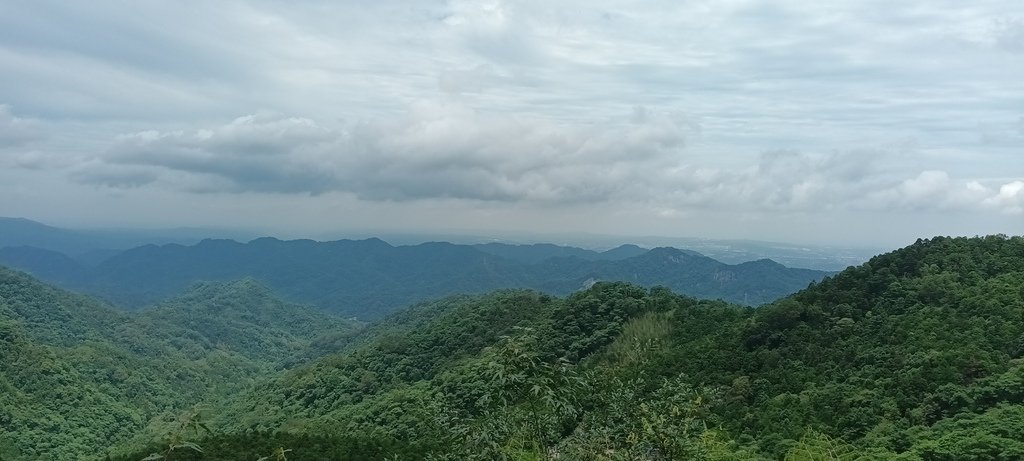 1130615馬武督探索森林(綠光森林及小學)、關西仙草博物