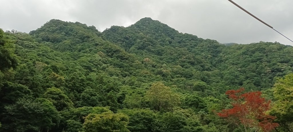 1130615馬武督探索森林(綠光森林及小學)、關西仙草博物