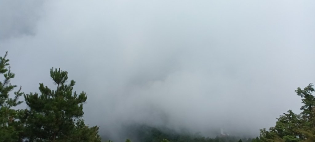 雪霸國家公園觀霧森林遊樂區之雲霧步道~