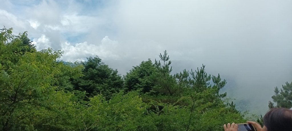 雪霸國家公園觀霧森林遊樂區之雲霧步道~