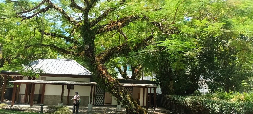 1130721宜蘭設治紀念館、新月廣場、宜蘭文學館、五榖(神