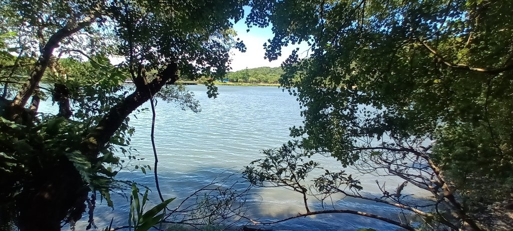 1130721宜蘭縣冬山鄉梅花湖風景區~