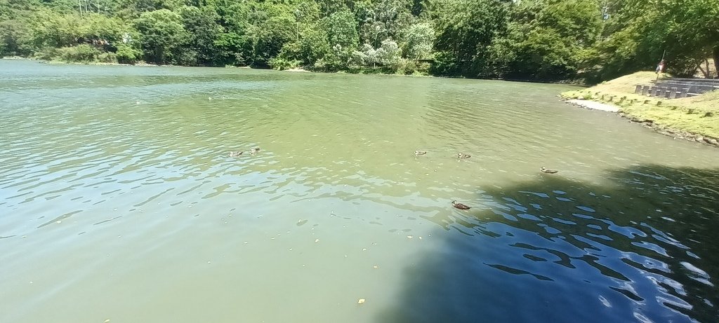 1130721宜蘭縣冬山鄉梅花湖風景區~