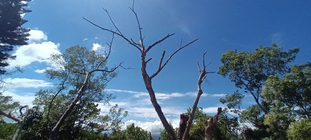 1130721宜蘭縣冬山鄉梅花湖風景區~