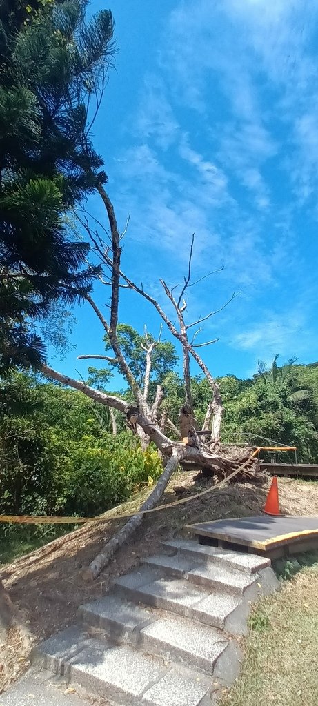 1130721宜蘭縣冬山鄉梅花湖風景區~