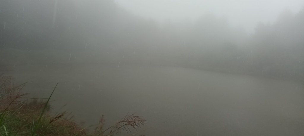 大雪山森林遊樂區一日來回。