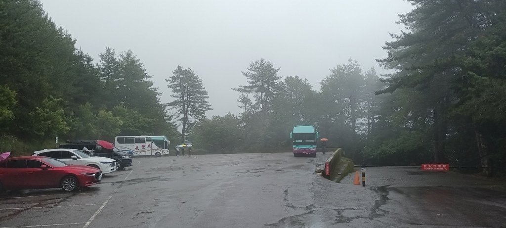 大雪山森林遊樂區一日來回。