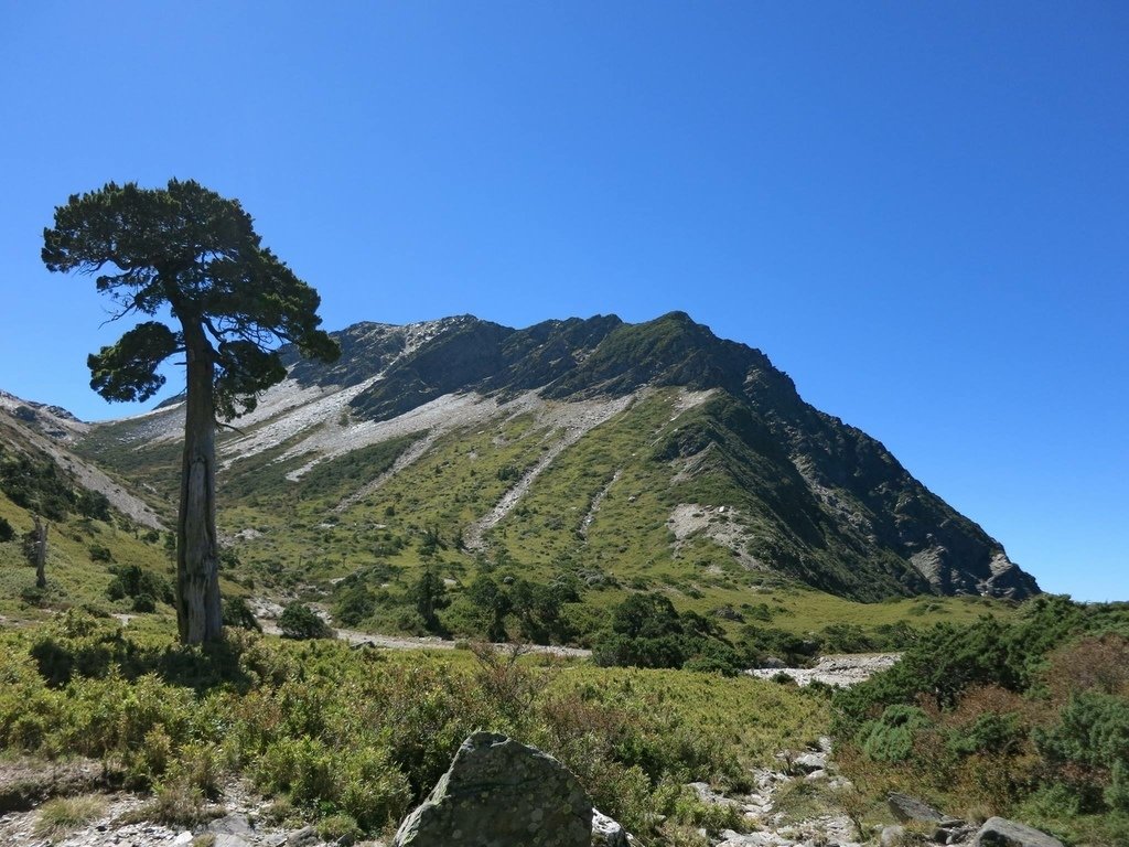 日劇:「山岳(地)醫生」劇中的經典對白完結篇。