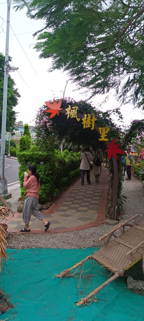 1131106蒜香紫藤花開~泰山楓樹河濱公園。