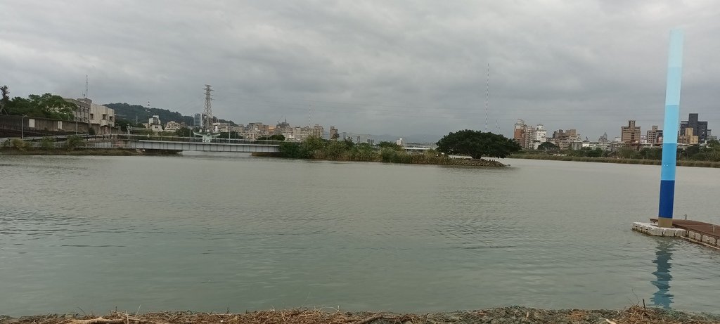 2024臺北關渡花海節活動~河雙21號公園及展區。