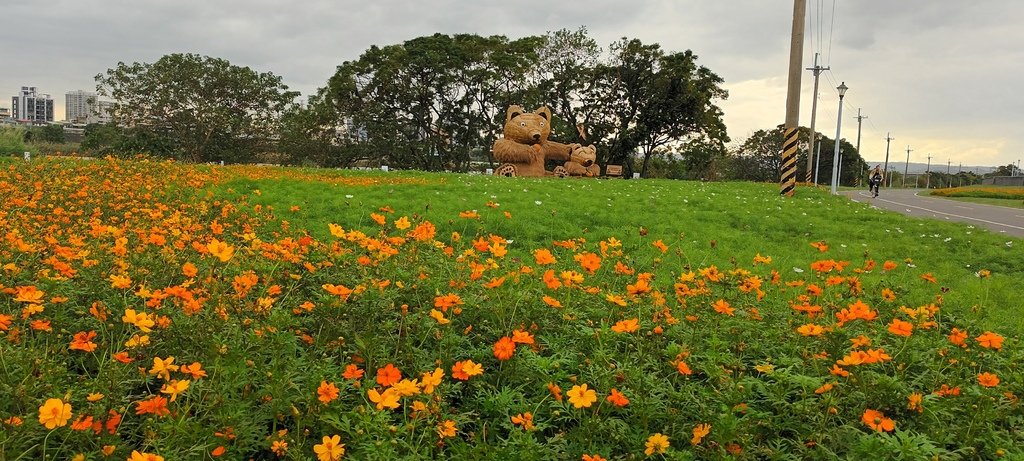 2024臺北關渡花海節活動~河雙21號公園及展區。