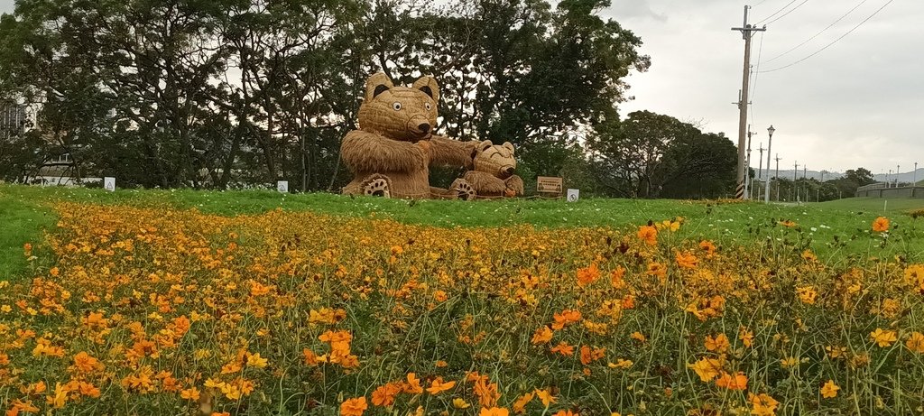 2024臺北關渡花海節活動~河雙21號公園及展區。