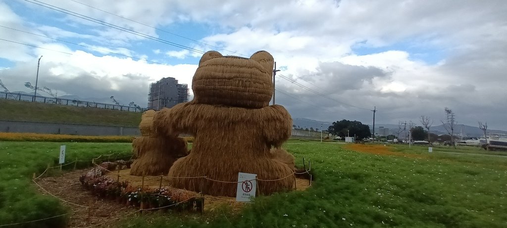 2024臺北關渡花海節活動~河雙21號公園及展區。