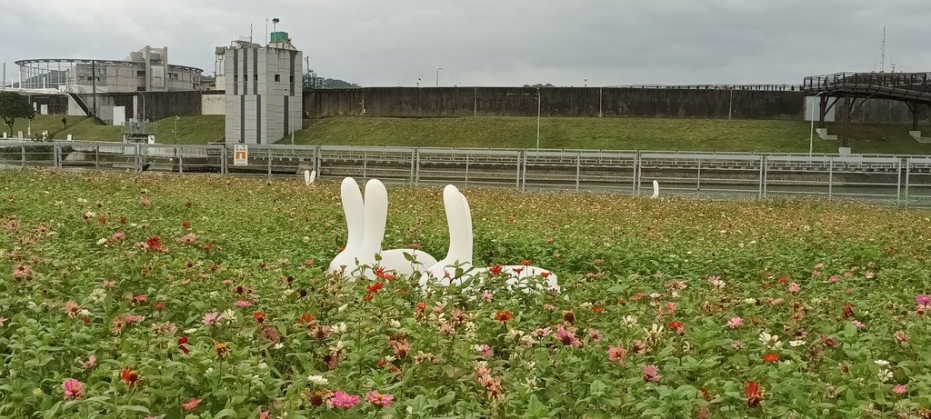 2024臺北關渡花海節活動~河雙21號公園及展區。