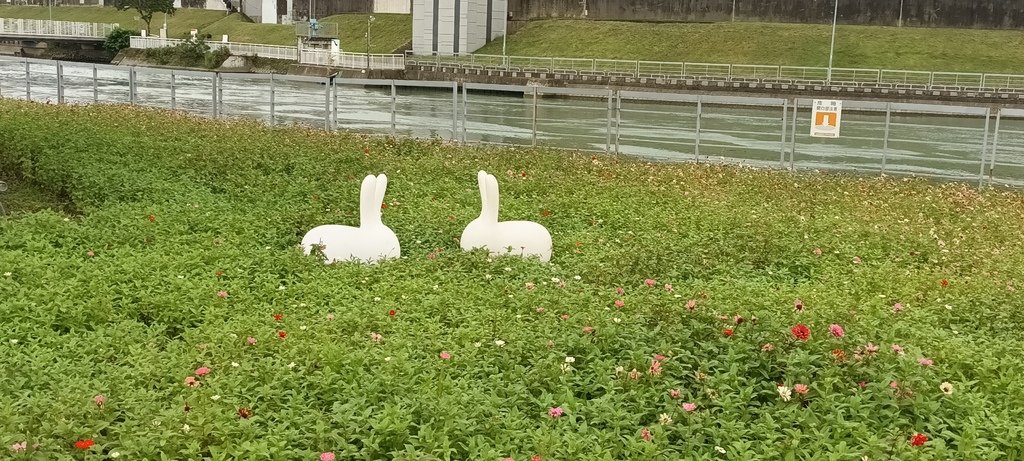 2024臺北關渡花海節活動~河雙21號公園及展區。