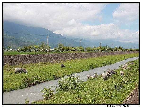 關山親水公園 (14).jpg