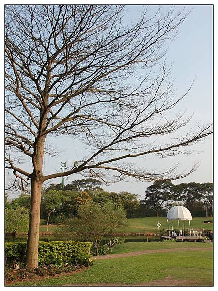 綠風草原餐廳15.jpg