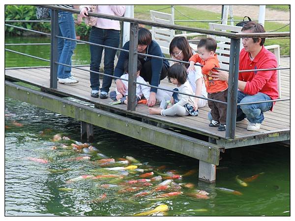 餵魚01.jpg