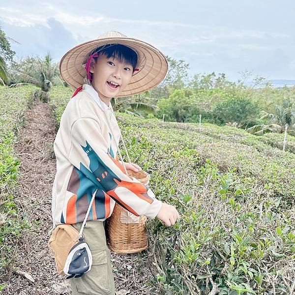 感受森林呼喊，一起到墾丁社頂公園深度旅遊，晚上再到港口社區找