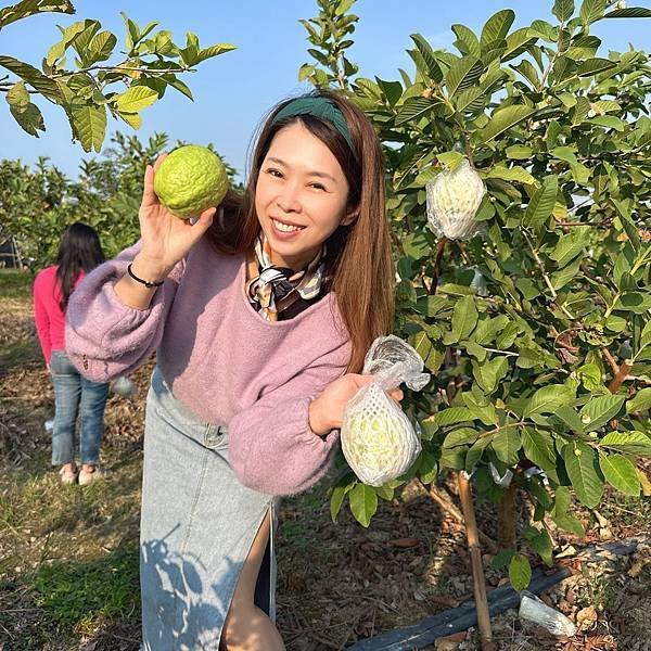 南台灣農遊推薦～旗山香蕉刮絲取纖、美濃水洗野蓮、六龜茶席體驗