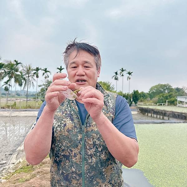 南台灣農遊推薦～旗山香蕉刮絲取纖、美濃水洗野蓮、六龜茶席體驗