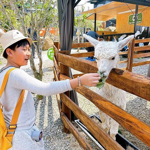 南投旅遊懶人包～暢遊最新的鹿芝谷生態景觀園區，再大快朵頤吃菇