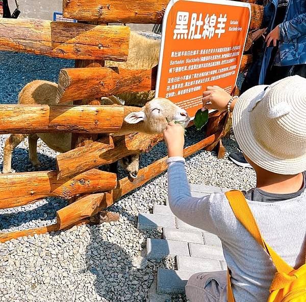 南投鹿谷最新景點推薦～鹿芝谷生態景觀園區 遊玩攻略看這裡！