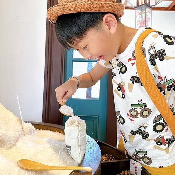台南免費景點推薦 安平也有水豚君出沒？來安平出張所看水豚泡水
