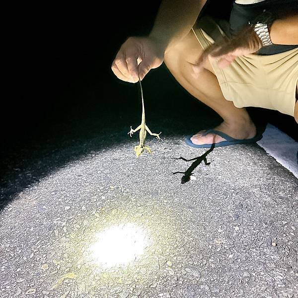 綠島無腦旅遊三天兩夜這樣玩～享用綠島海草系美食、船票、租借機