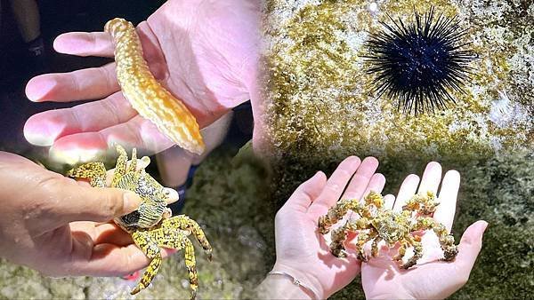 綠島無腦旅遊三天兩夜這樣玩～享用綠島海草系美食、船票、租借機