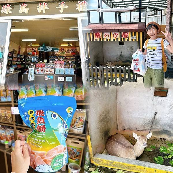 綠島無腦旅遊三天兩夜這樣玩～享用綠島海草系美食、船票、租借機