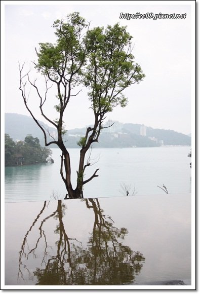 向山湖景樹倒影