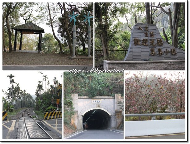騎單車沿路風景.jpg